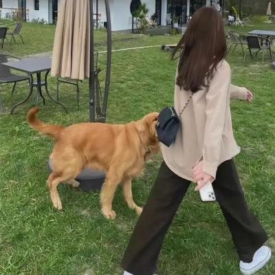 泳池里的女人